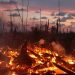 Kebakaran Hutan 2019 Bikin Indonesia Rugi Rp 72 Triliun