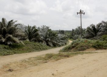Penyaluran Dana Desa untuk 56 Desa Fiktif Dihentikan