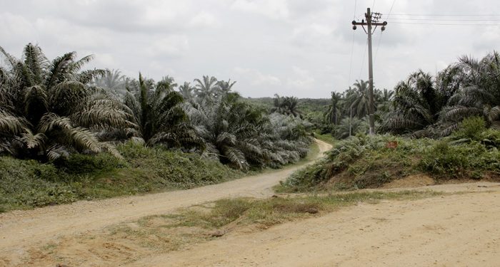 Penyaluran Dana Desa untuk 56 Desa Fiktif Dihentikan