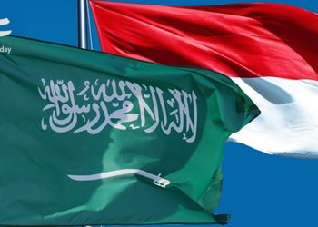3 Kesepakatan Arab Saudi-Indonesia dalam G-20 Riyadh