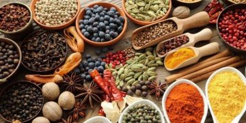 Jamu Indonesia Tembus Pasar Arab Saudi