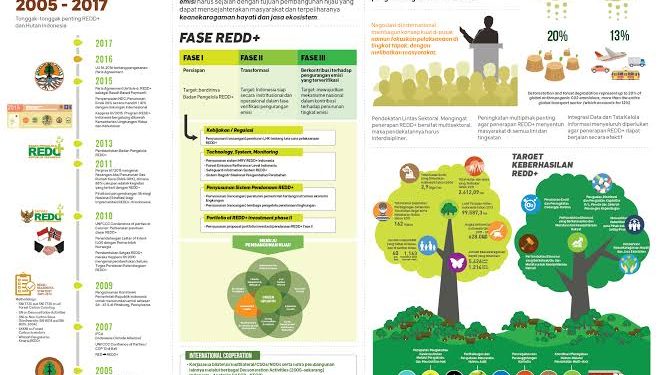 Green Climate Fund Setujui REDD+ Results-Based Payment USD103,8 Juta