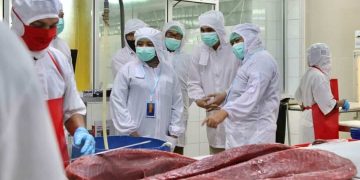 Kemenko Marves Dorong Percepatan LIN di Maluku