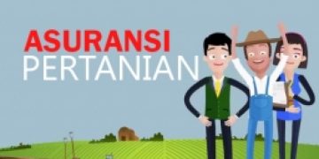 Pemerintah Susun Skema Asuransi Pertanian & Perikanan