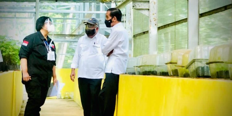Presiden Tinjau Lokasi Pembangunan Pusat Perbenihan untuk Atasi Bencana Ekologis