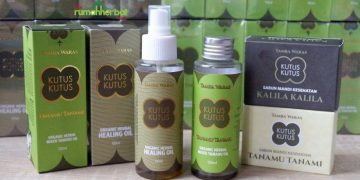 Rahasia Owner Kutus-Kutus Beli Kastil di Belanda