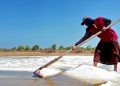 RI Belum Swasembada Garam, Ini Penyebabnya
