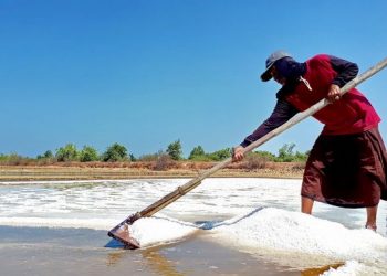 RI Belum Swasembada Garam, Ini Penyebabnya