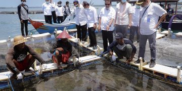 Menteri Trenggono: Lombok Jadi Pusat Lobster Kelas Dunia