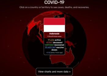 Covid-19 Visualizer, Cara Mudah Pantau Informasi Terbaru Corona Dunia