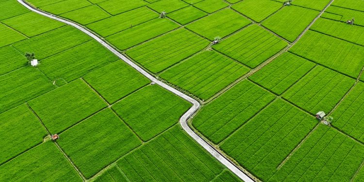 Asuransi Jasindo Jamin 66.352 Ha Tanah
