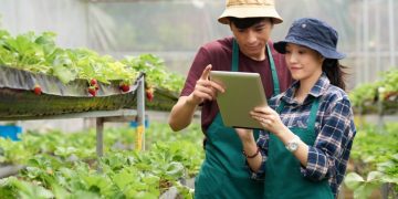 100 Petani Milenial Dimagangkan di Korsel