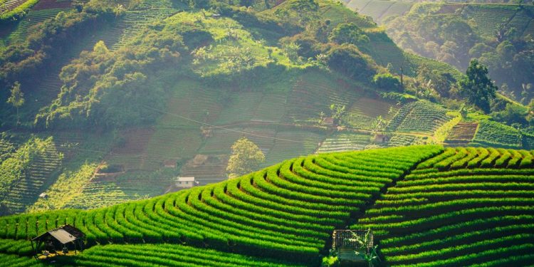 Potensi Desa Wisata Indonesia Luar Biasa