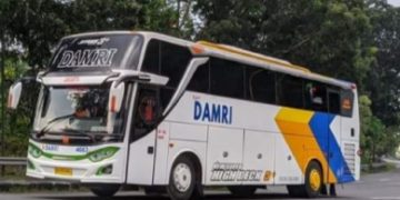 Sekarang dari Jakarta ke Yogyakarta Bisa Naik Damri, Tarif Rp195 Ribu