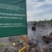 Perambahan Suaka Margasatwa Rawa Singkil Tak Terkendali