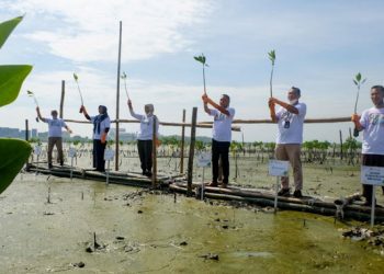 Pelindo Marines Galang Kolaborasi untuk Bakau Romokalisari
