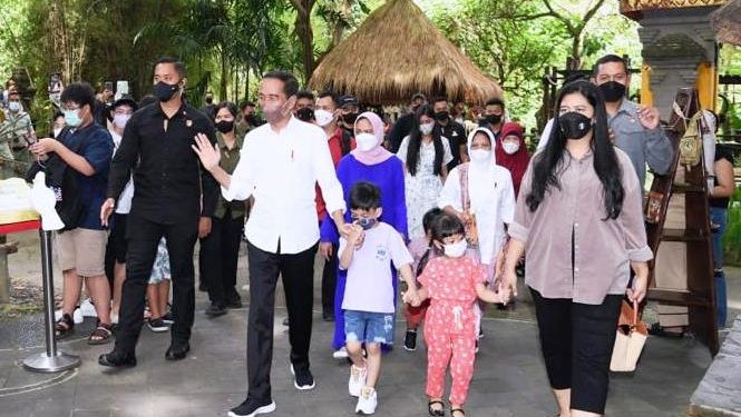 Cucu Jokowi Beri Makan Harimau Putih di Bali