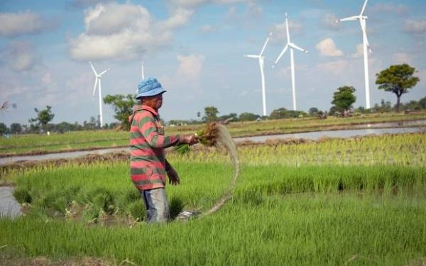 Mentan SYL Ajak Saudagar Bugis Bangun Sektor Pertanian