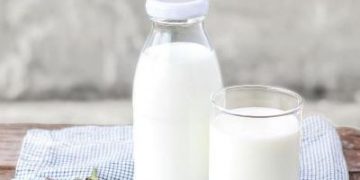 Konsumsi Susu Indonesia Kalah dari Myanmar