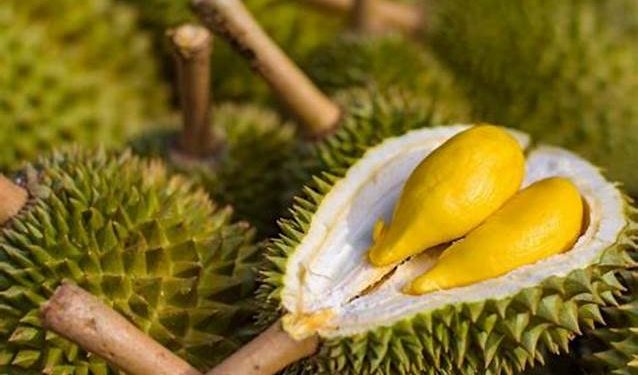 Makan Durian Bikin Sakit Jantung hingga Janin Mati
