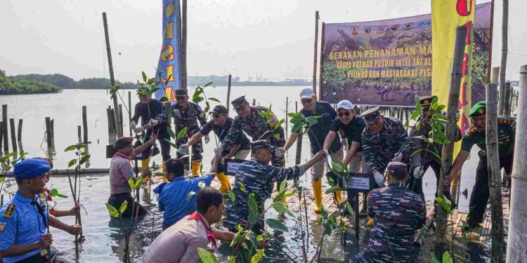 Peringati Hari Magrove Sedunia, TNI AL dan Pelindo Gelar Aksi Konservasi Tanam Bakau
