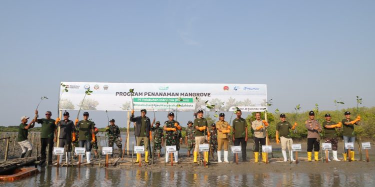 Pelindo Regional 3 Hijaukan Pesisir Pantai, Tanam 147.400 Bibit Mangrove