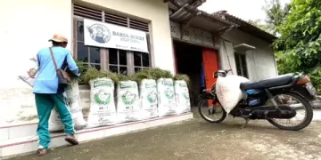 Pemuda di Sleman Ini Hasilkan Jutaan Rupiah Per Bulan Lewat Bisnis Rumput Liar
