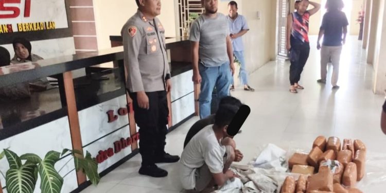 Polisi Gagalkan Peredaran Dua Goni Ganja di Aceh Tenggara