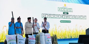 Kenapa Swasembada Pangan Bisa Tercapai Cepat di Era Prabowo?