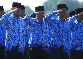 WFH ASN Resmi Berlaku, Perjalanan Dinas Dipangkas hingga 70%