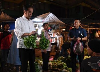 JOKOWI, PRESIDEN FENOMENAL