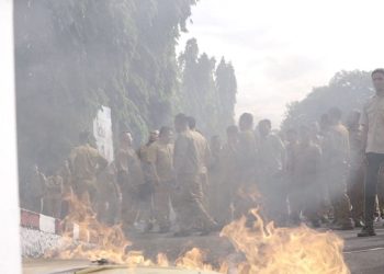 Efisiensi Anggaran Mulai Picu Gejolak di Daerah, Ribuan ASN PPPK Tidore Ricuh