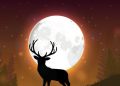 Buck Moon Hiasi Langit Malam Ini, Catat Waktu Terbaik Melihat Bulan Purnama Juli