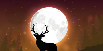 Buck Moon Hiasi Langit Malam Ini, Catat Waktu Terbaik Melihat Bulan Purnama Juli