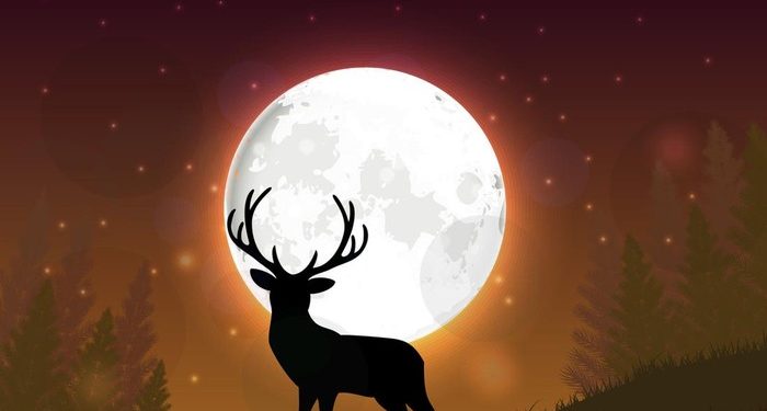 Buck Moon Hiasi Langit Malam Ini, Catat Waktu Terbaik Melihat Bulan Purnama Juli