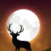 Buck Moon Hiasi Langit Malam Ini, Catat Waktu Terbaik Melihat Bulan Purnama Juli
