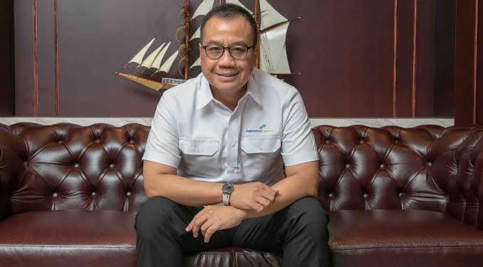 Eks Bos InJourney Airports Resmi Pimpin Pelita Air