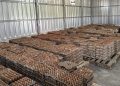 Kisah Yusuf, Napi di Lapas Ciangir yang Raup Rp 800 Ribu Sebulan dari Beternak Ayam