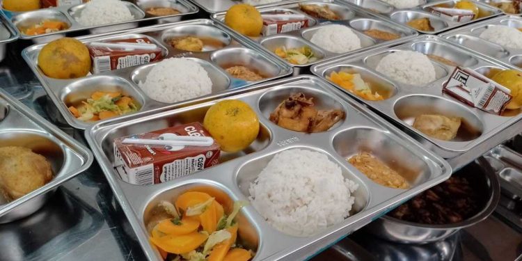 BGN Tutup 833 Dapur MBG