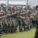 Kemenhut Rekrut 23 Ribu Polisi Hutan Bertahap dalam Tiga Tahun