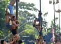 Lomba Panjat Pinang Dilarang di Aceh Barat