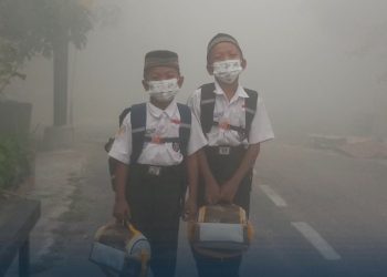 3 Juta Warga RI Terpapar Asap Karhutla, Kasus ISPA Naik 78%