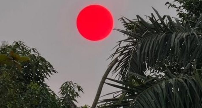 Matahari Berubah Merah Menyala di Langit Palangka Raya, Ternyata Ini Penjelasan BMKG