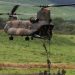 Mengenal CH-47 Chinook, Helikopter Raksasa Jepang yang Bantu Padamkan Karhutla di Kalimantan