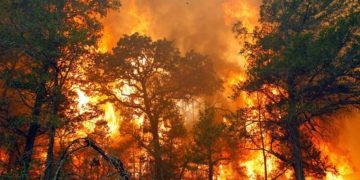 35 Pesawat Asing Siap Bantu Penanganan Karhutla