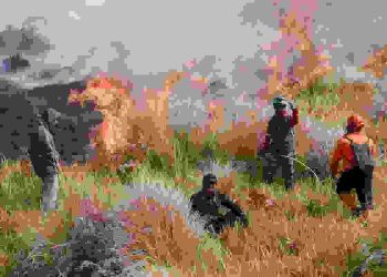 Media Asing Kupas Kebakaran Hutan di Taman Nasional Bromo