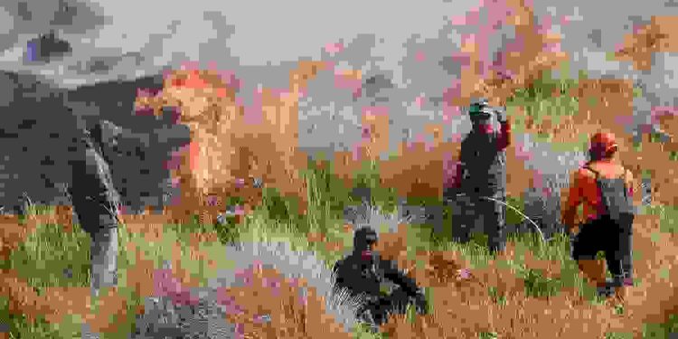 Media Asing Kupas Kebakaran Hutan di Taman Nasional Bromo