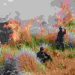 Media Asing Kupas Kebakaran Hutan di Taman Nasional Bromo