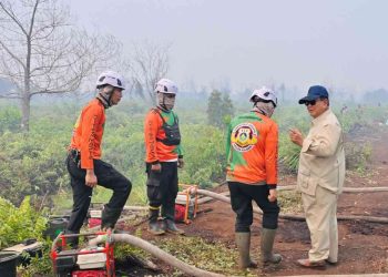 Sejumlah Instruksi Prabowo Tentang Penanganan Karhutla Kalimantan