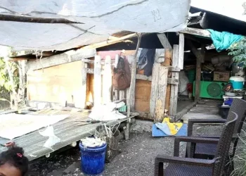Rumah Hancur Diguncang Gempa, Satu Keluarga di NTT Tinggal di Kandang Babi